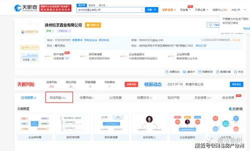 徐州房企资产再遭拍卖 东区小区24套房源因破产被重新推向市场